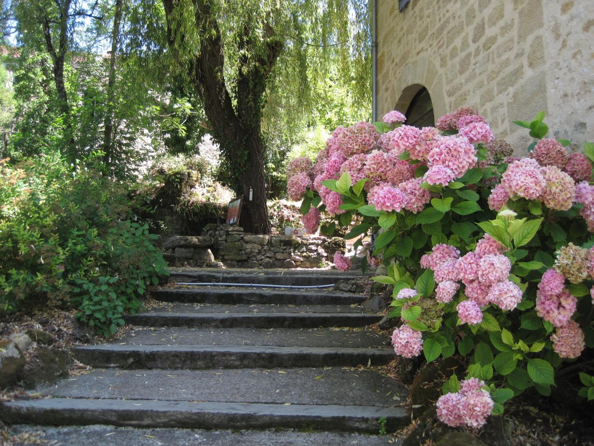 Hotel Restaurant Le Murier De Viels - Grand Figeac Causse-et-Diege Eksteriør billede