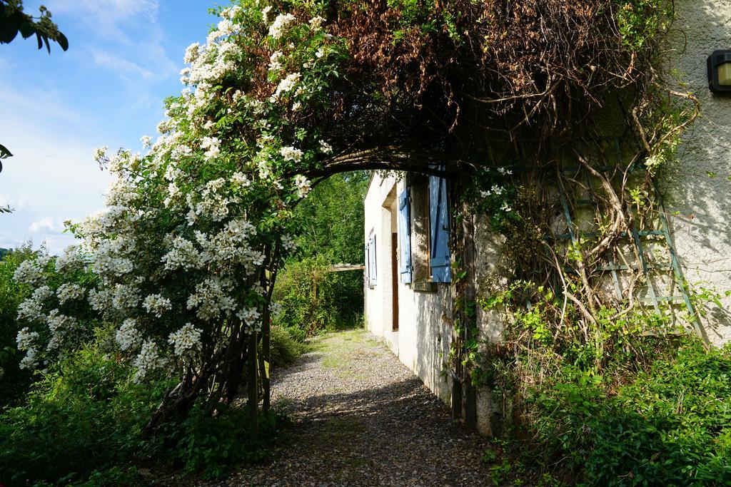 Hotel Restaurant Le Murier De Viels - Grand Figeac Causse-et-Diege Eksteriør billede