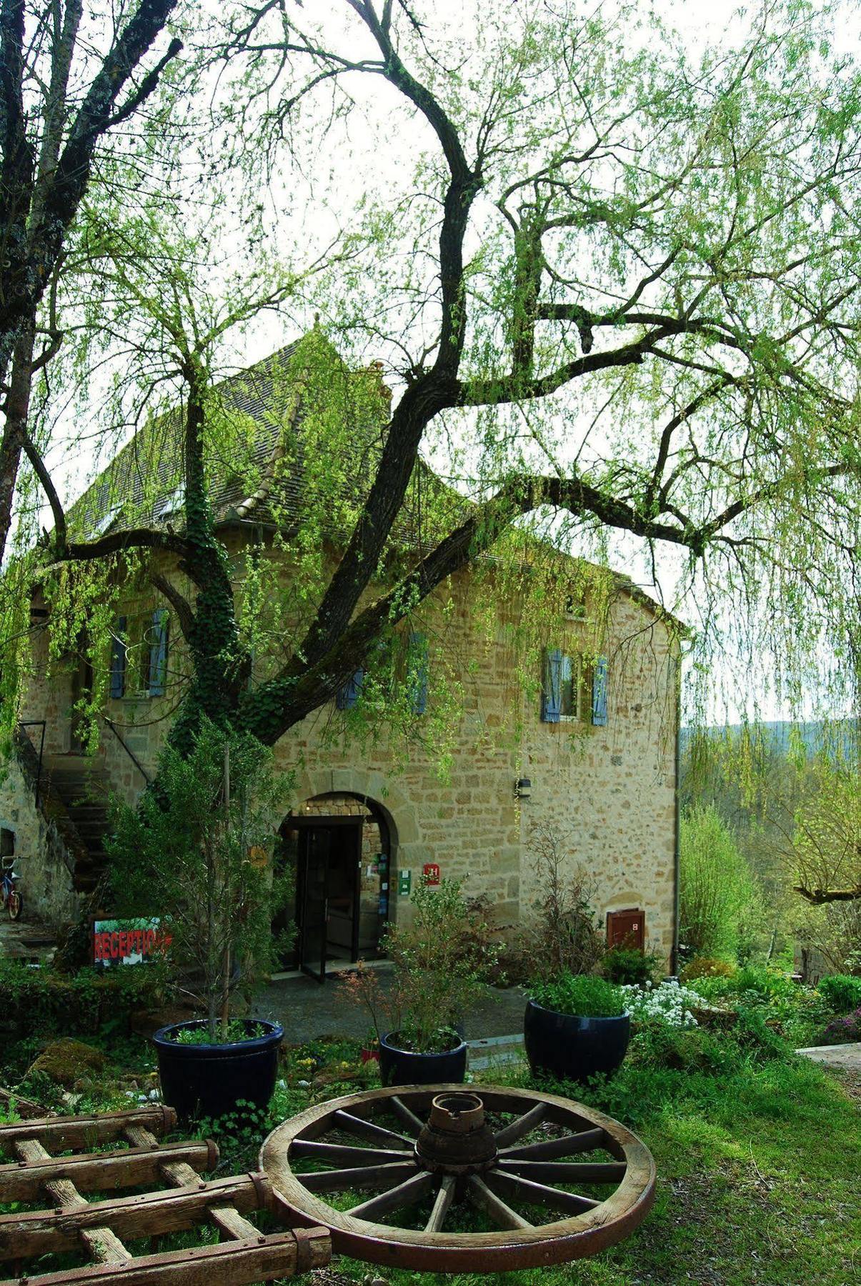 Hotel Restaurant Le Murier De Viels - Grand Figeac Causse-et-Diege Eksteriør billede